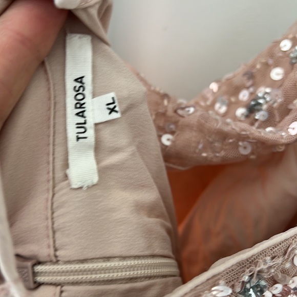 Tularosa Bellini Sequin Dress in Cherry Blossom - Picture 10 of 10